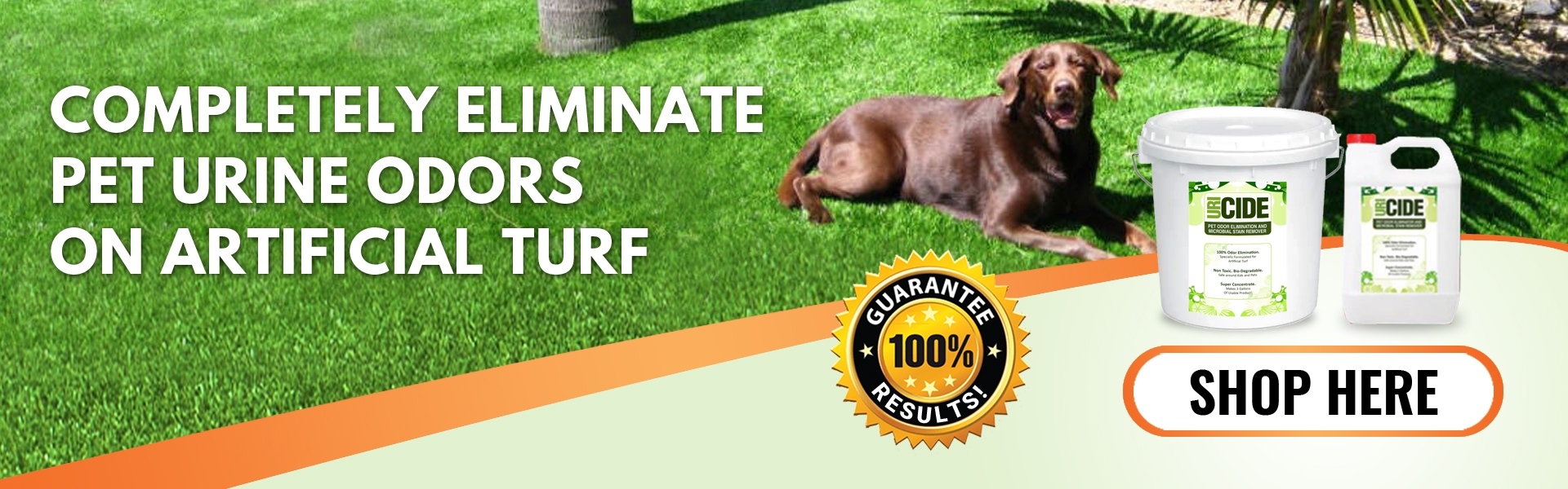 Eliminate dog odors from artificial turf lawn